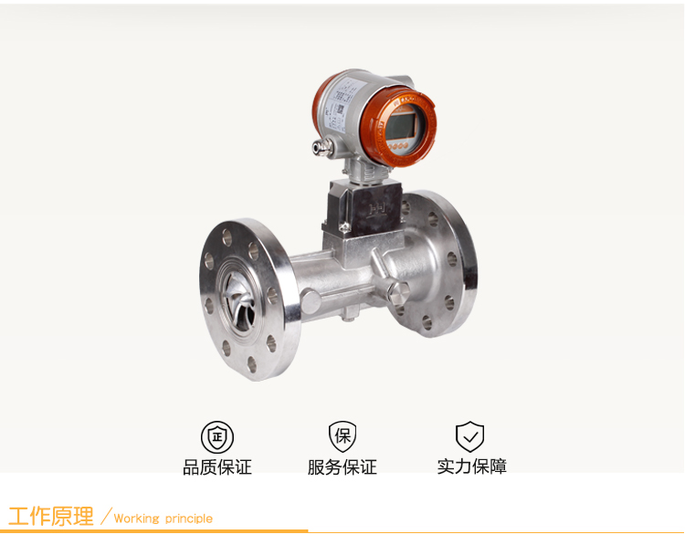 旋進(jìn)旋渦氣體流量計