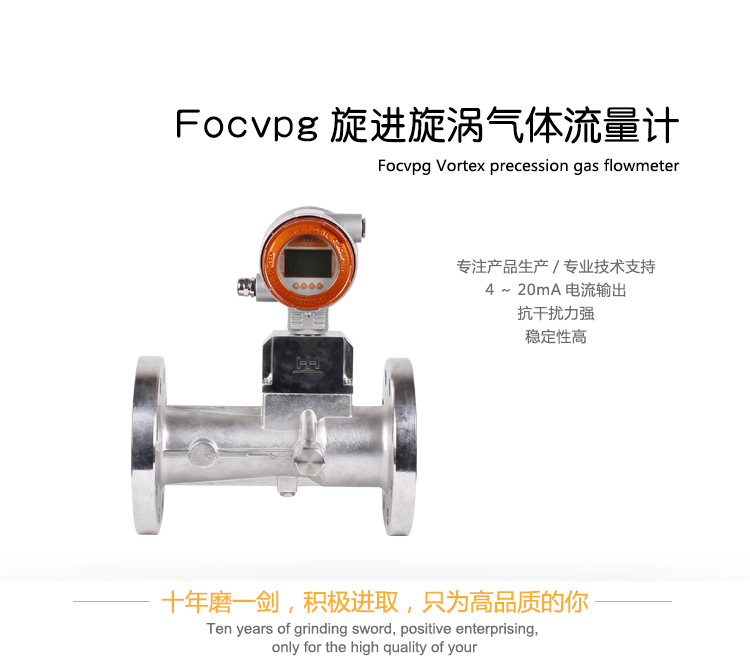 旋進(jìn)旋渦氣體流量計